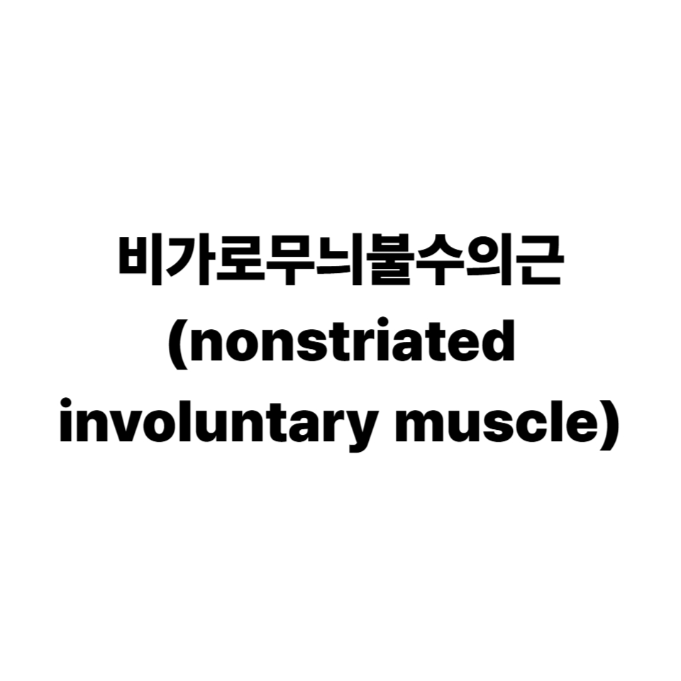 비가로무늬근