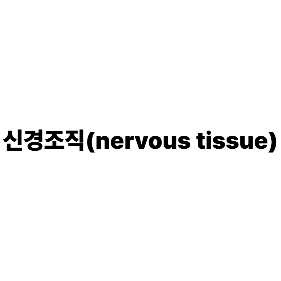 신경조직