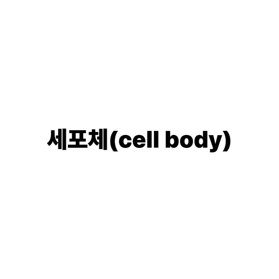 세포체