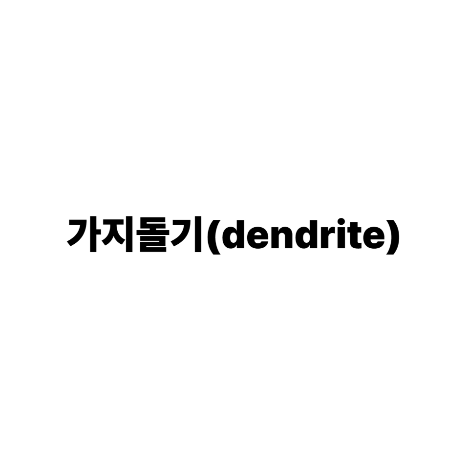가지돌기