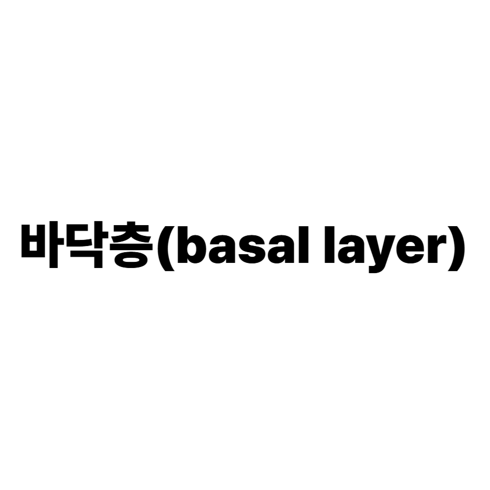 바닥층
