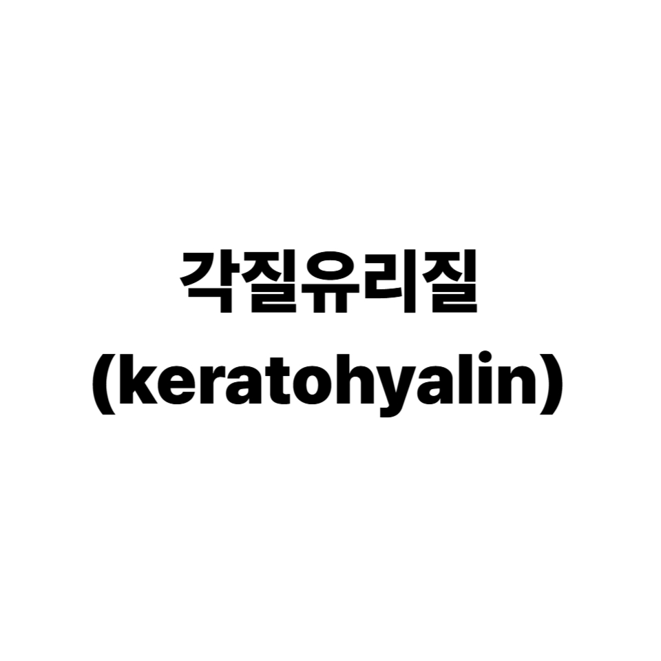 각질유리질