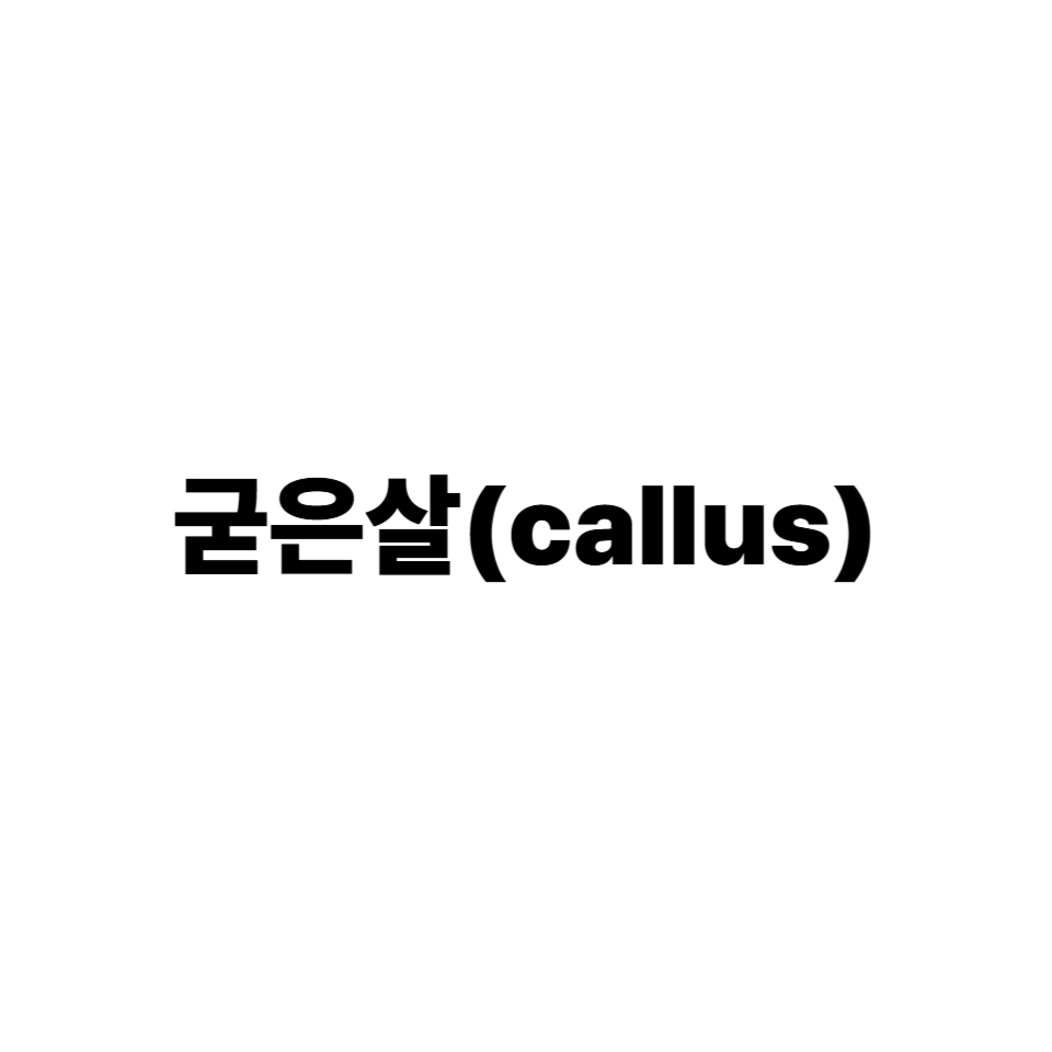 굳은살