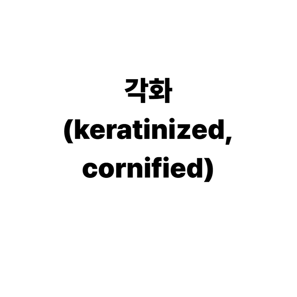 각화