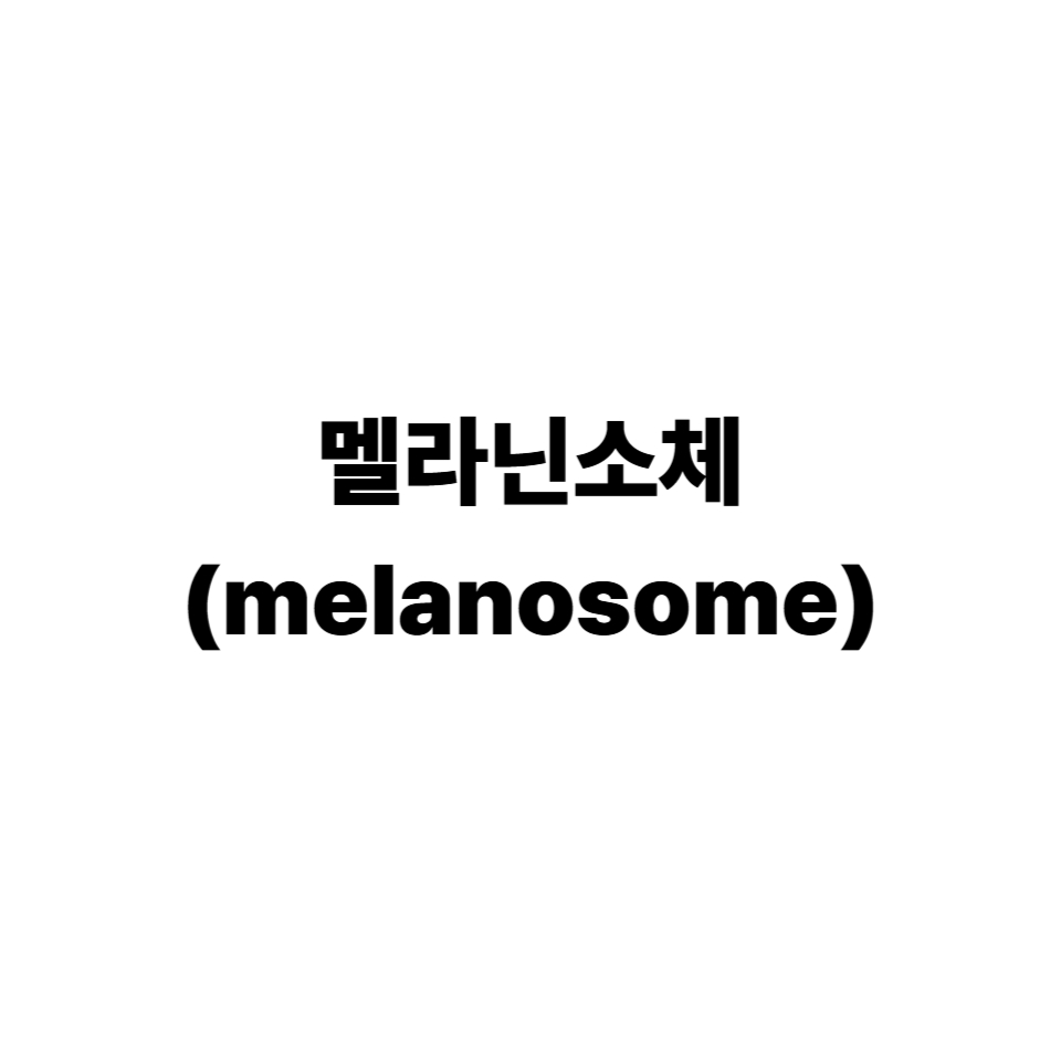 멜라닌소체