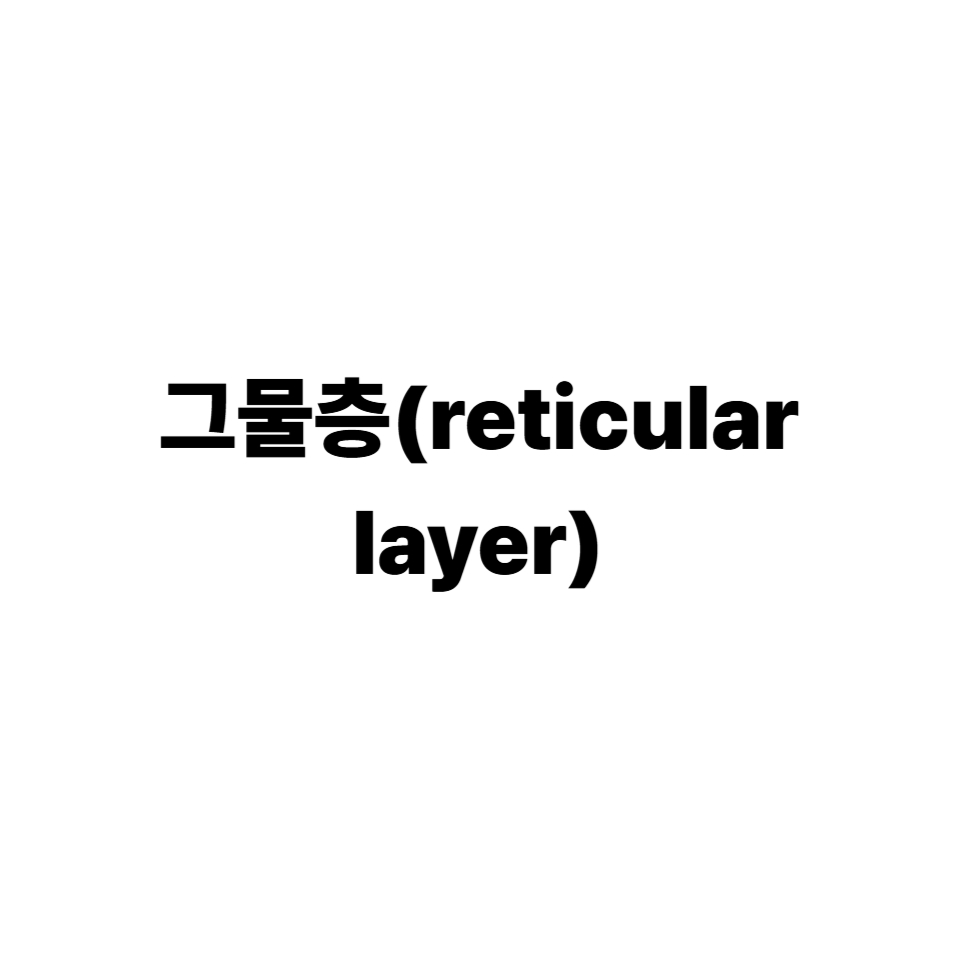 그물층