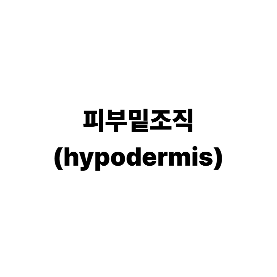 피부밑조직