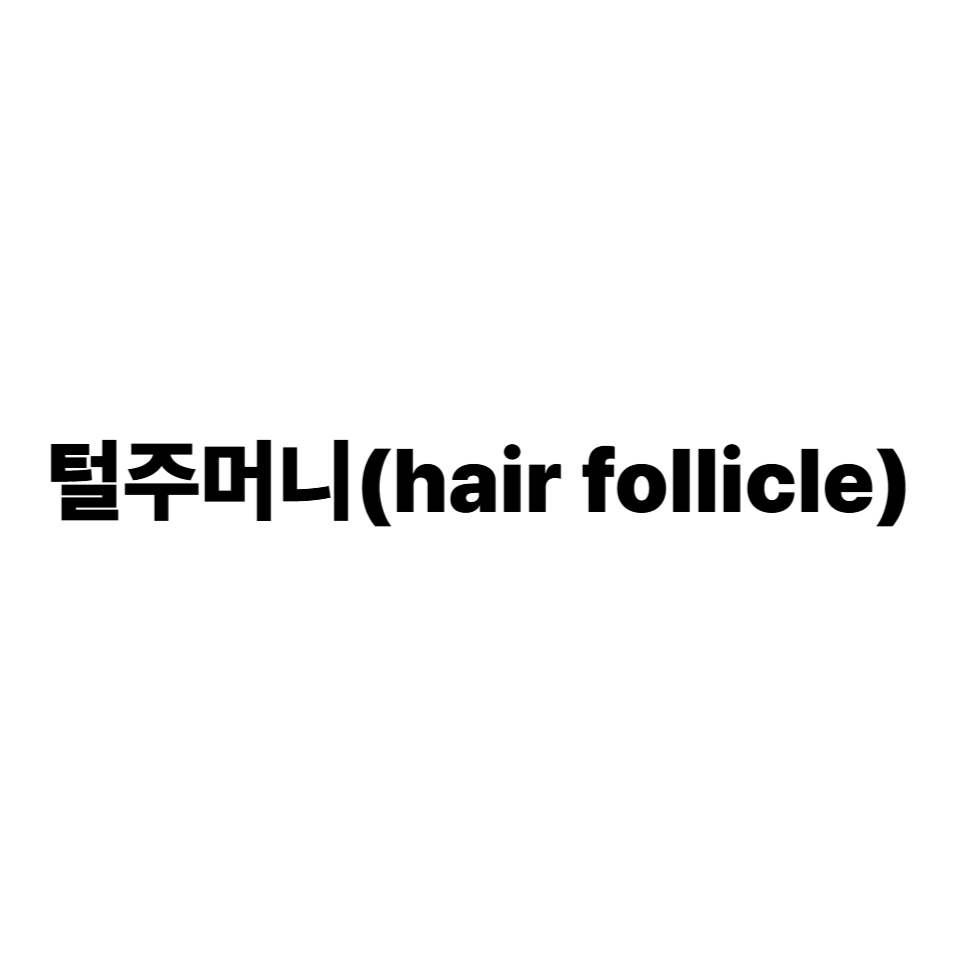 털주머니