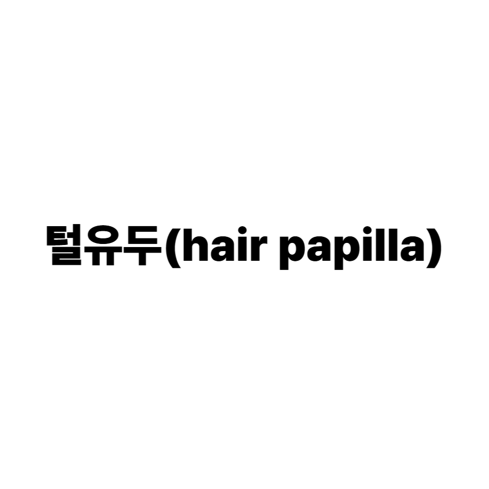 털유두