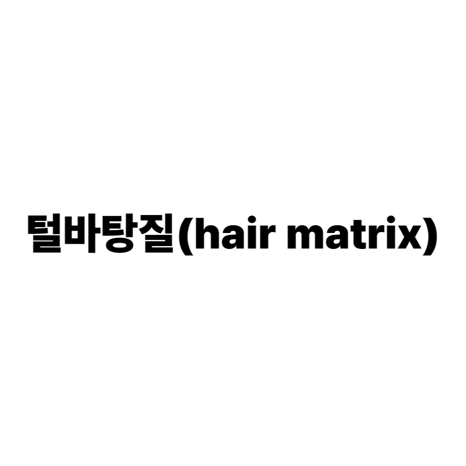 털바탕질