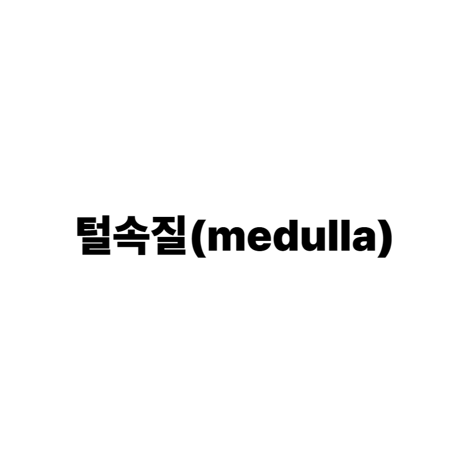털겉질