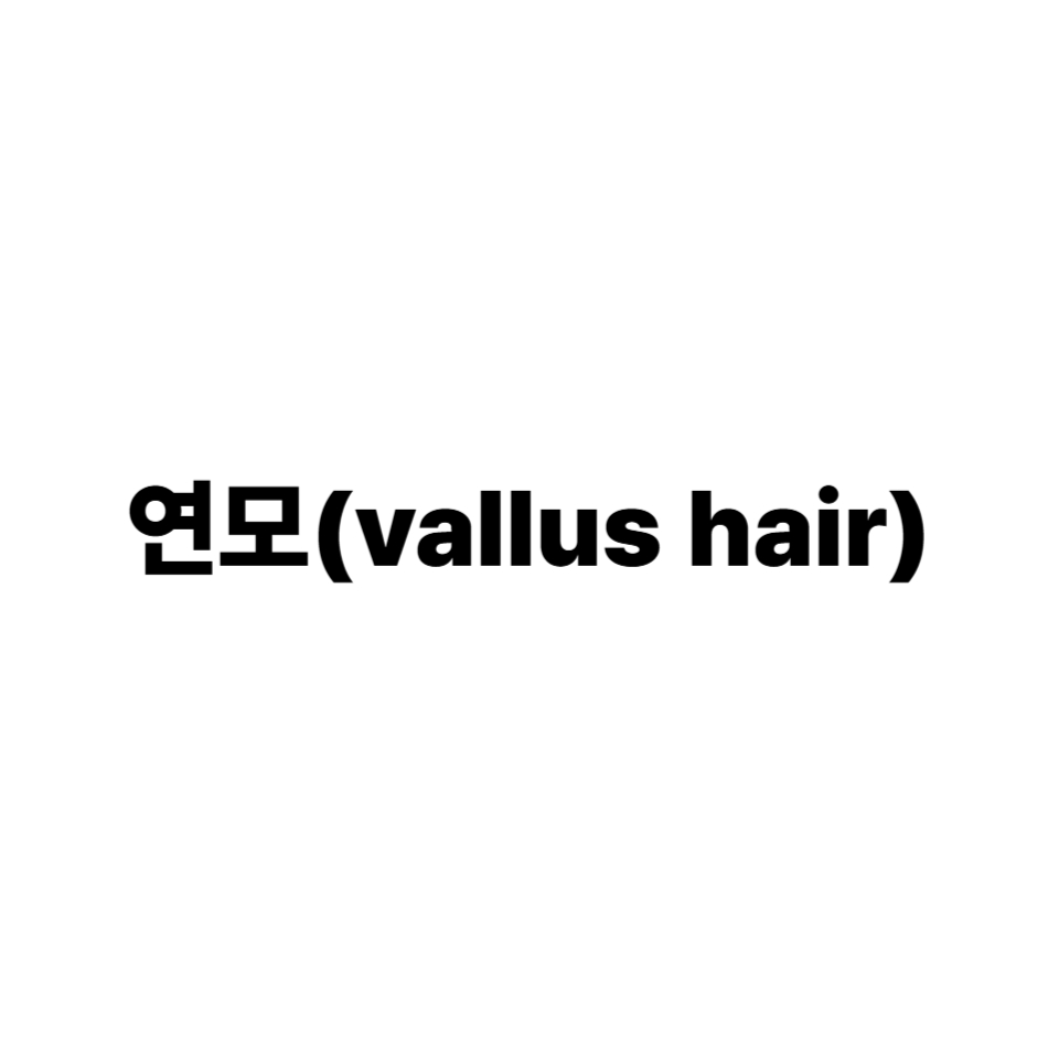 연모