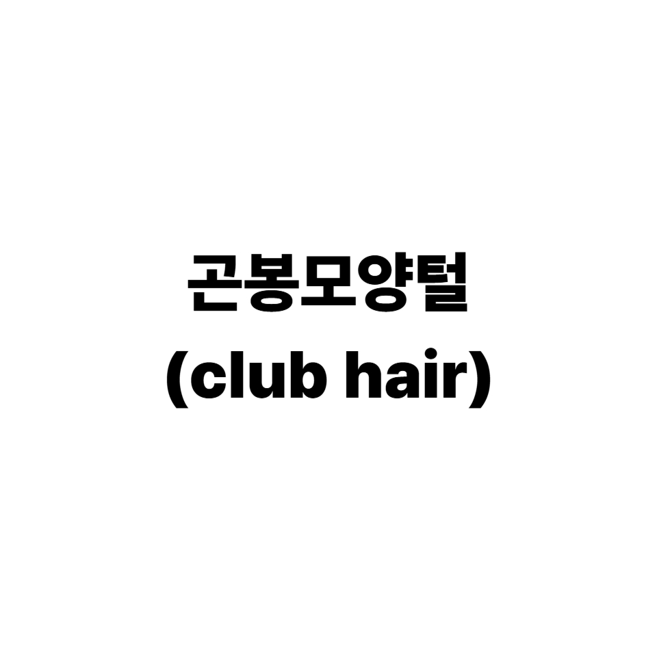 곤봉모양털
