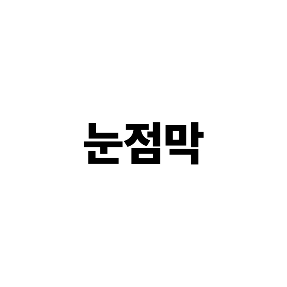 눈점막