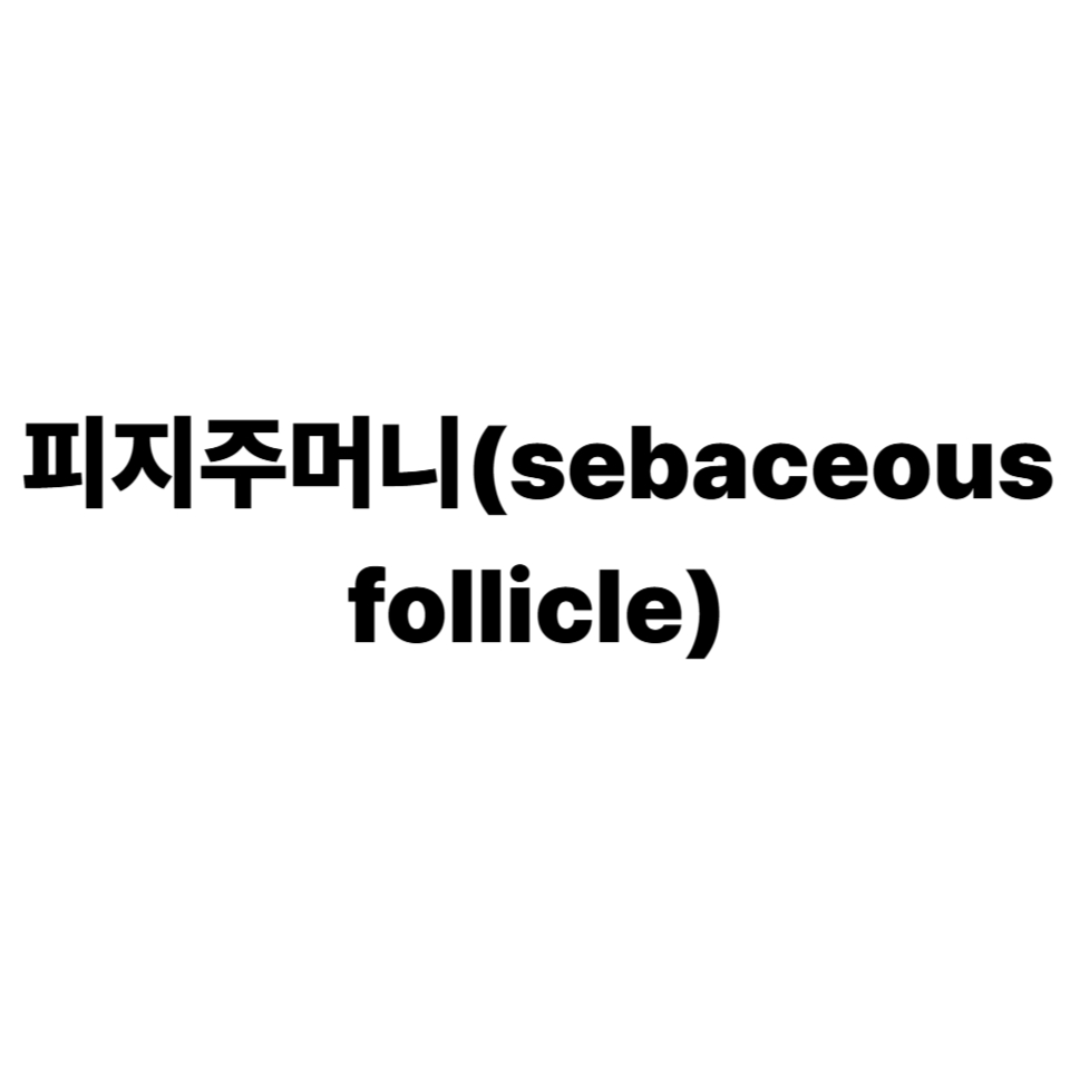 피지주머니