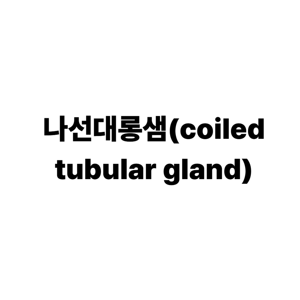 나선대롱샘