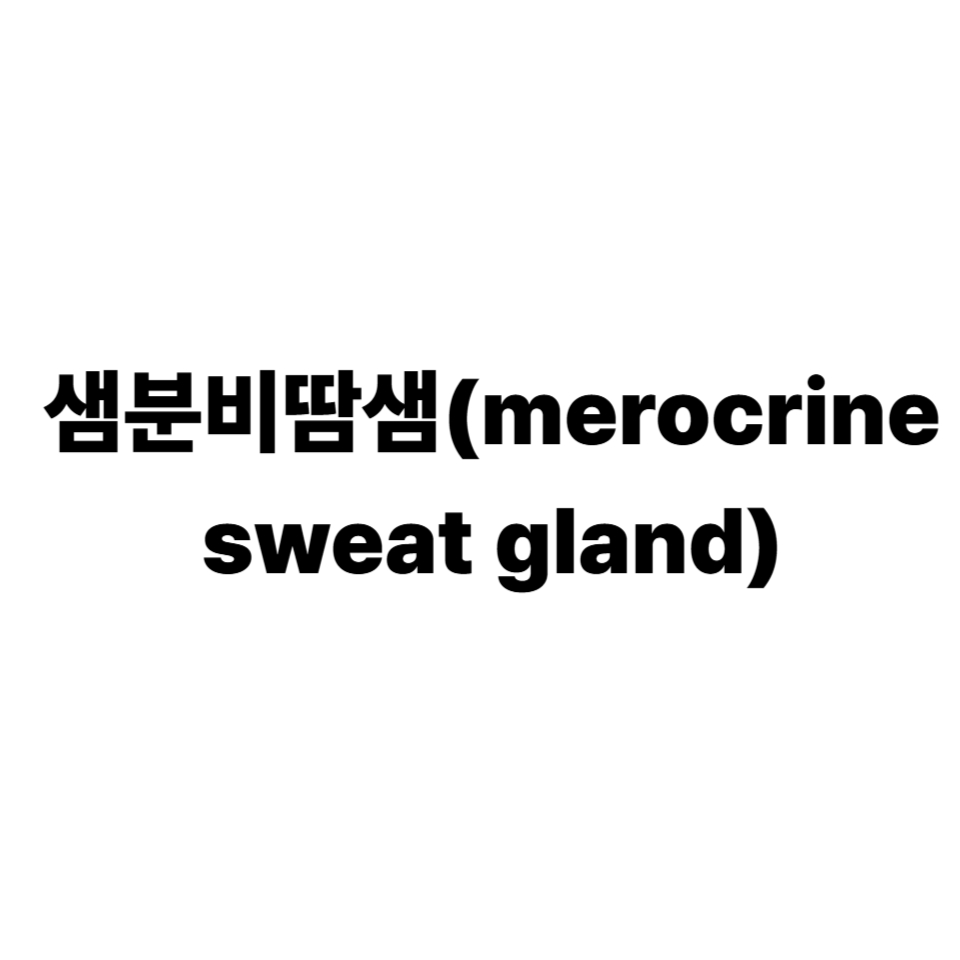 샘분비땀샘