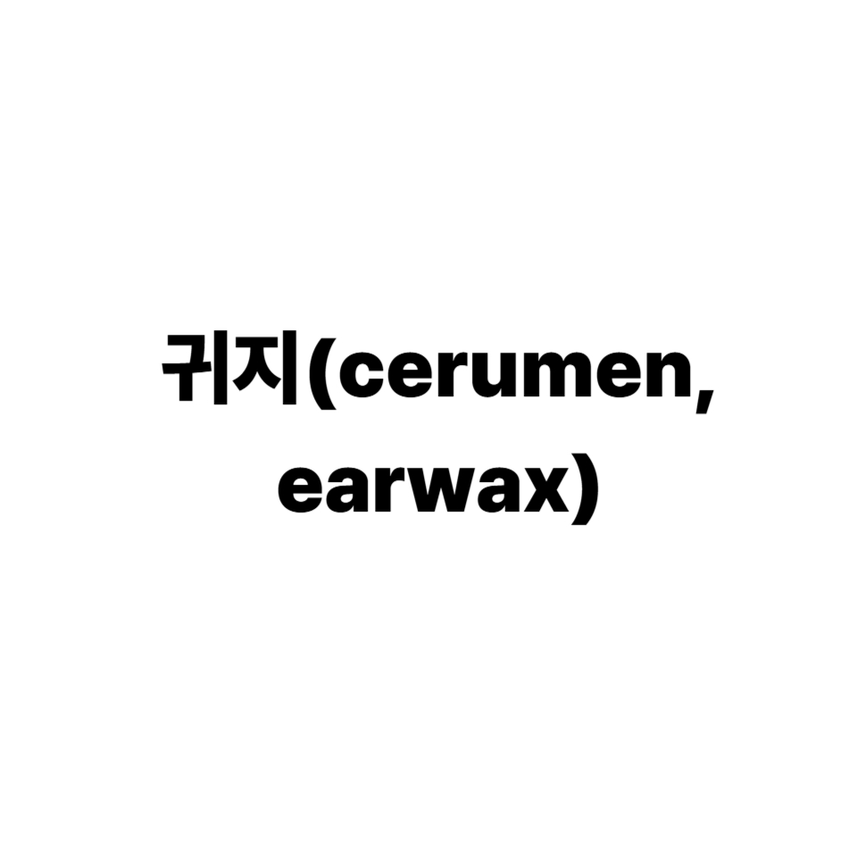 귀지