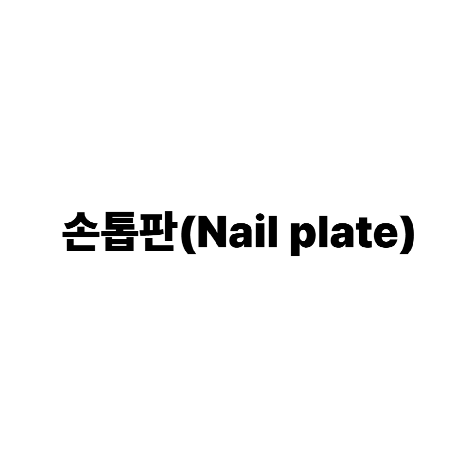 손톱판