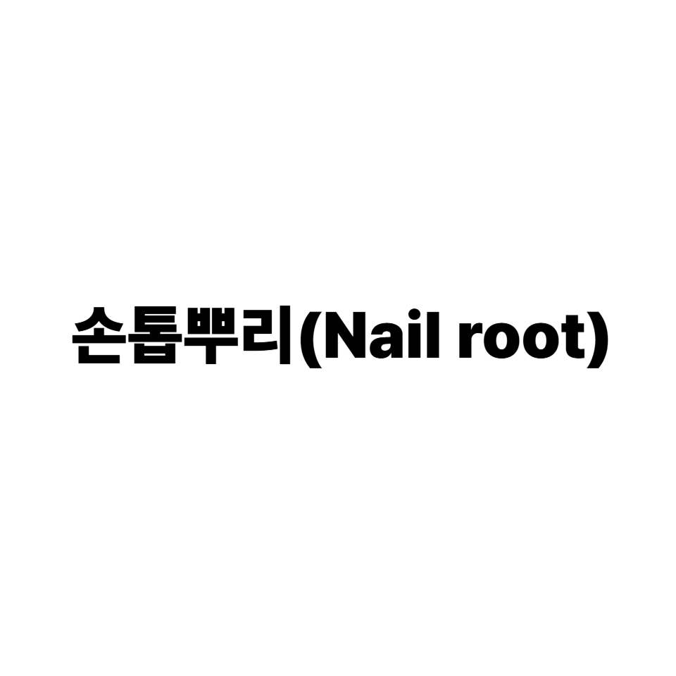 손톱뿌리
