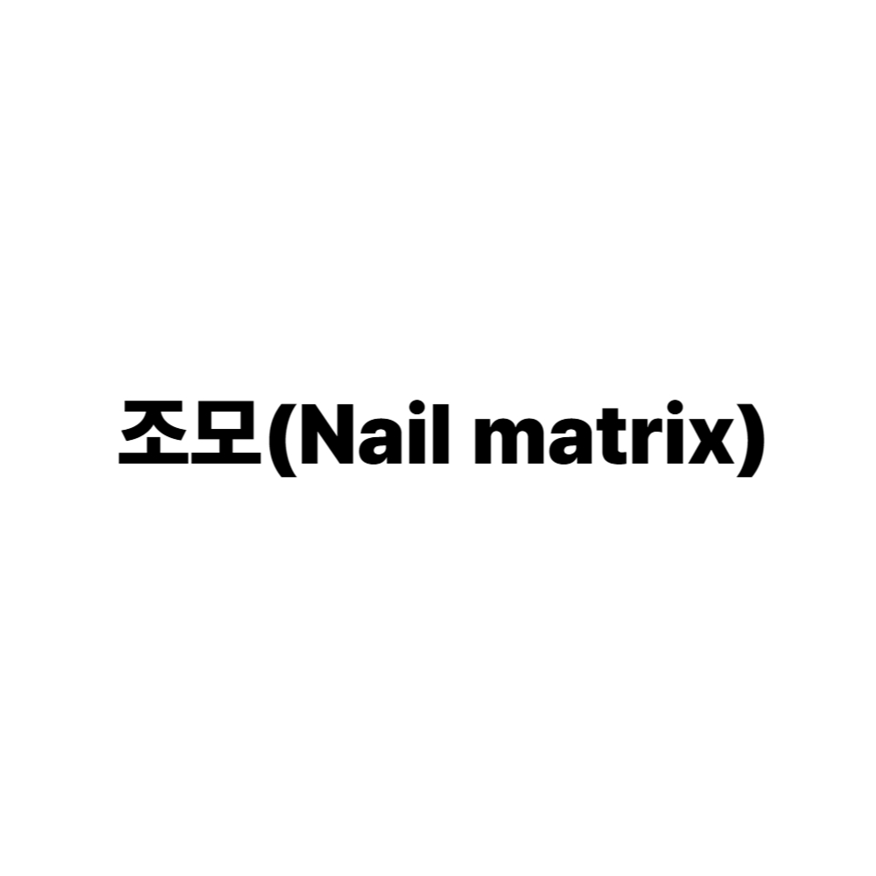 조모