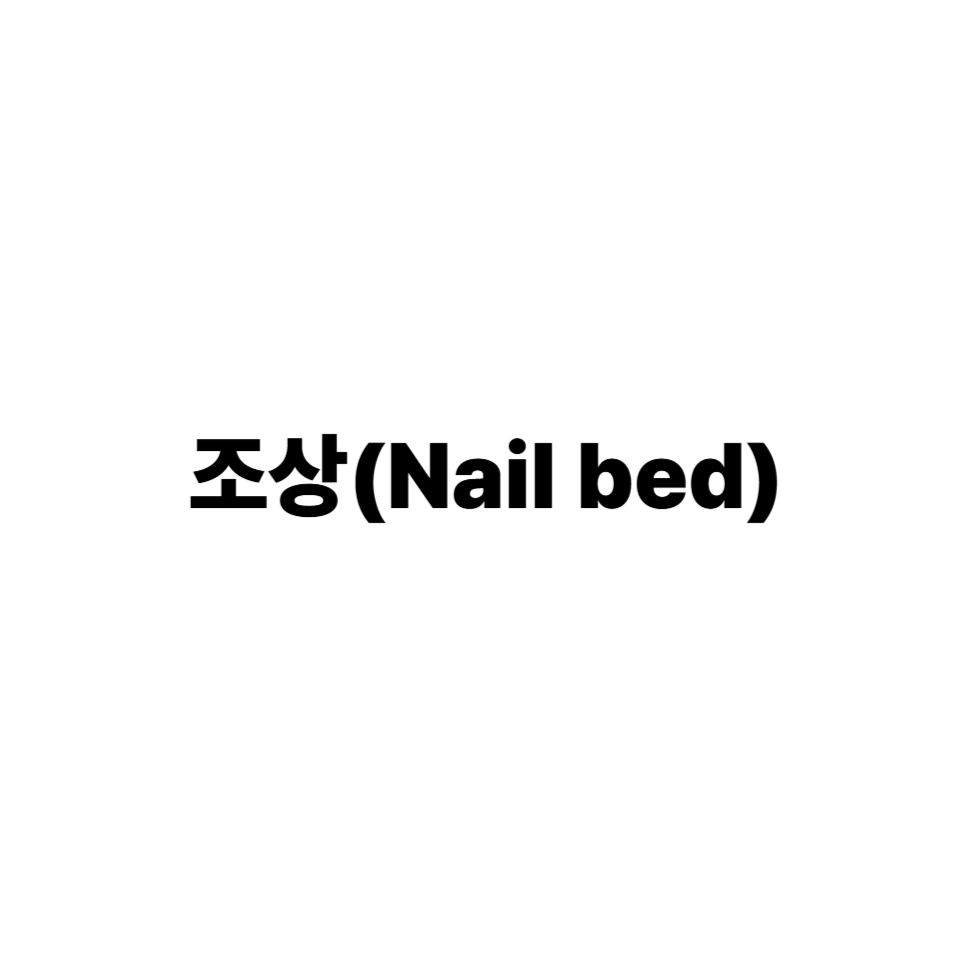 조상