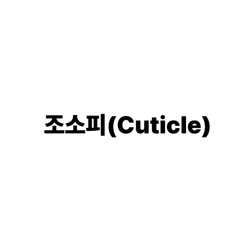 조소피