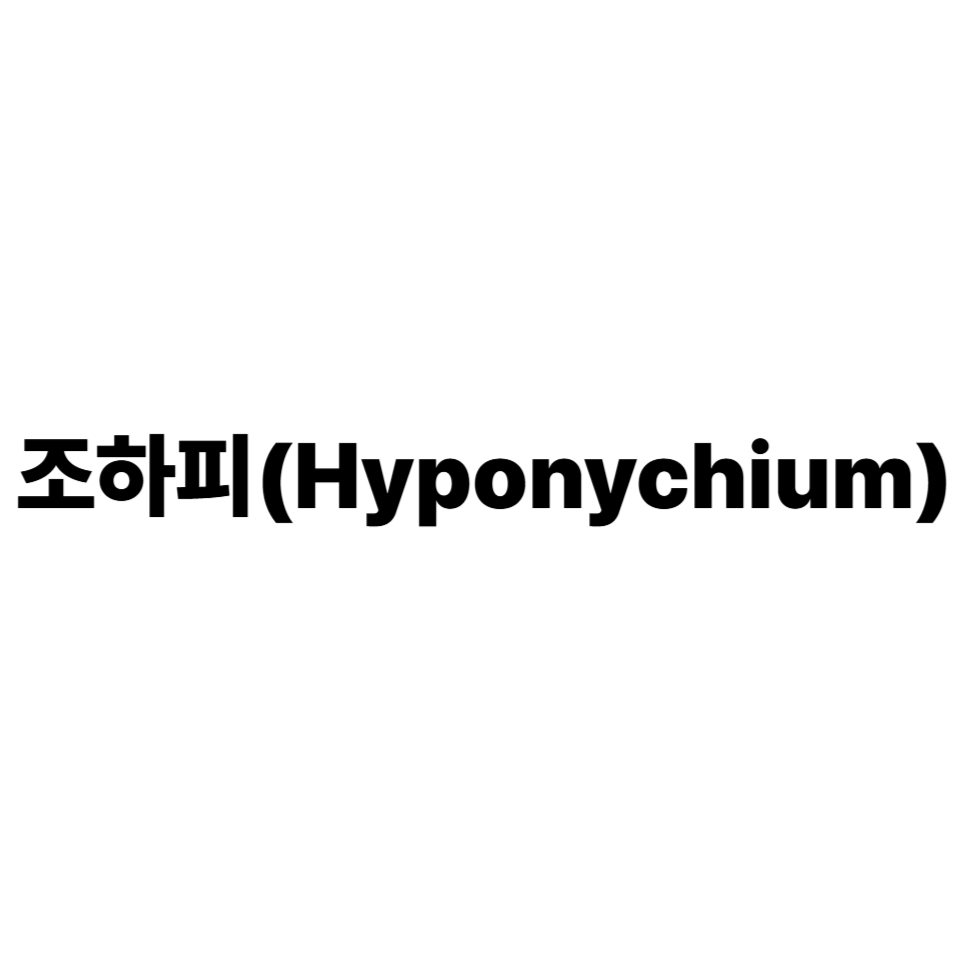 조하피