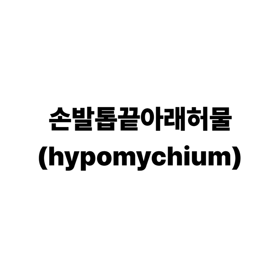 손발톱밑피부