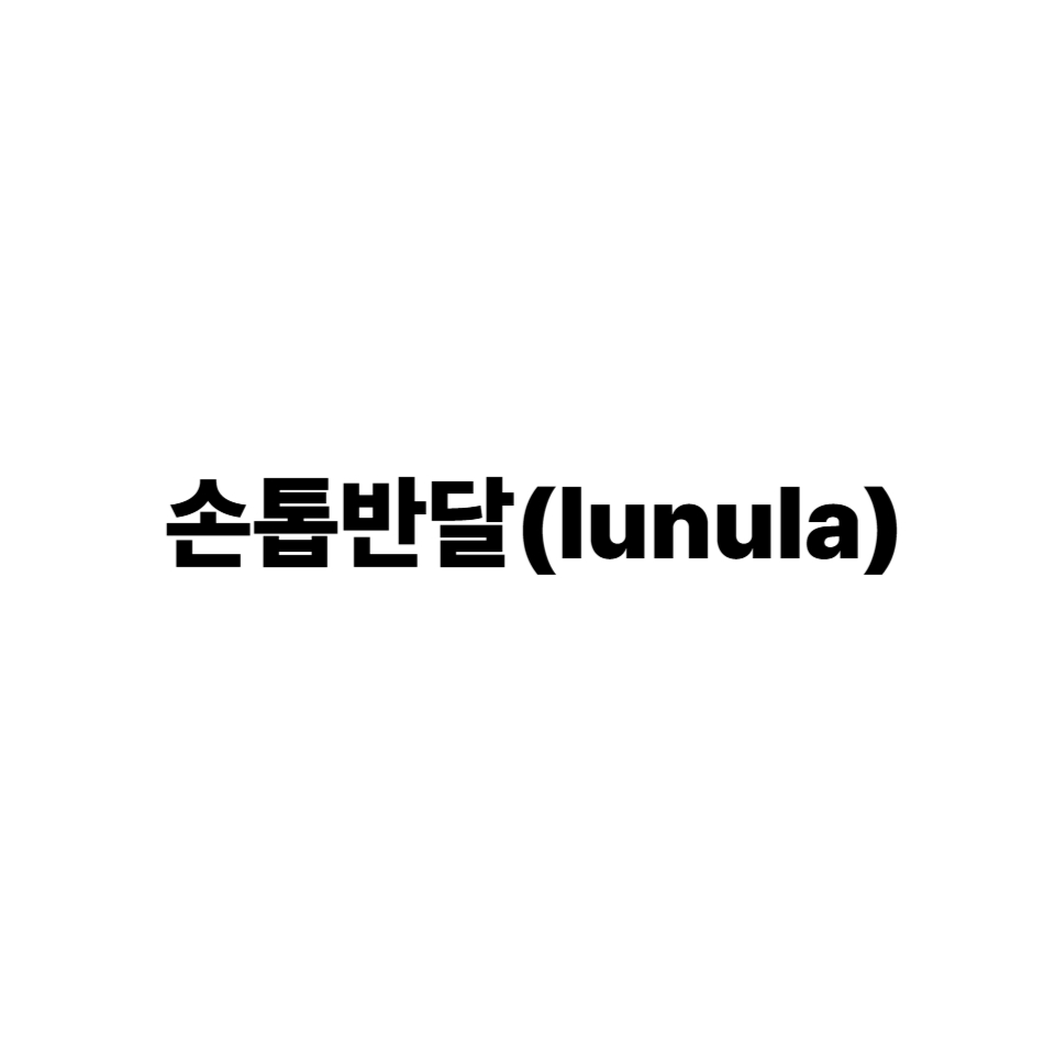손톱반달