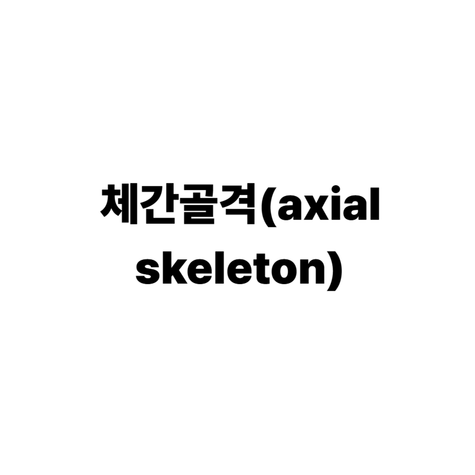 체간골격