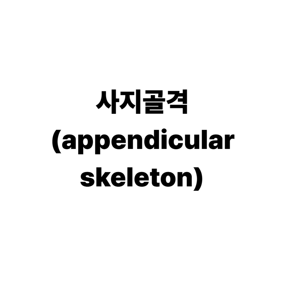 사지골격