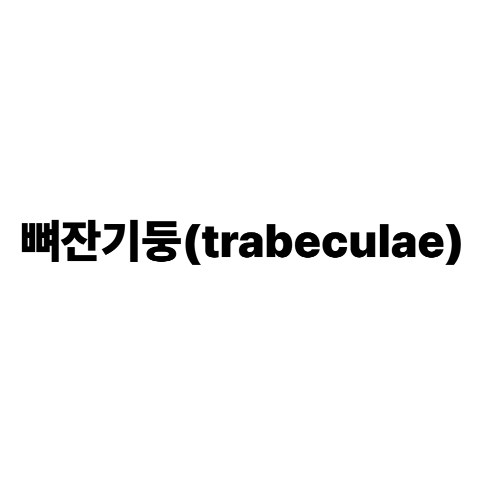 뼈잔기둥