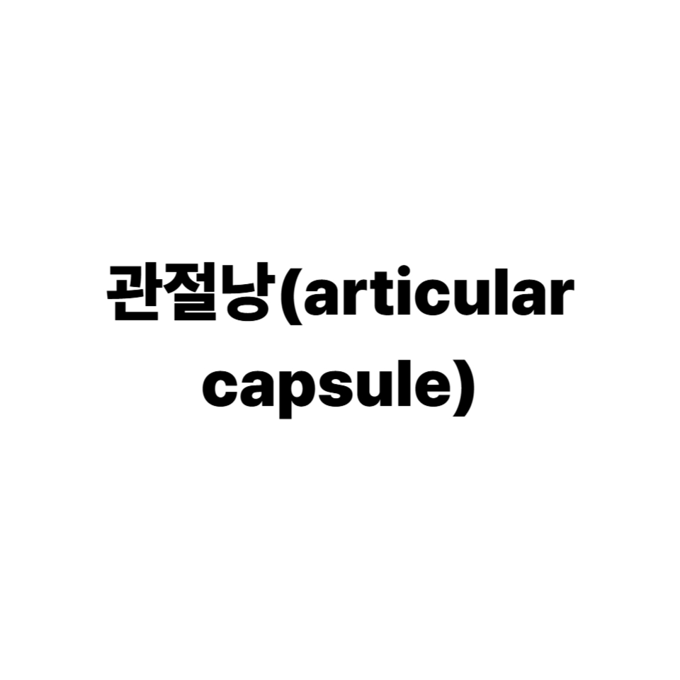관절낭