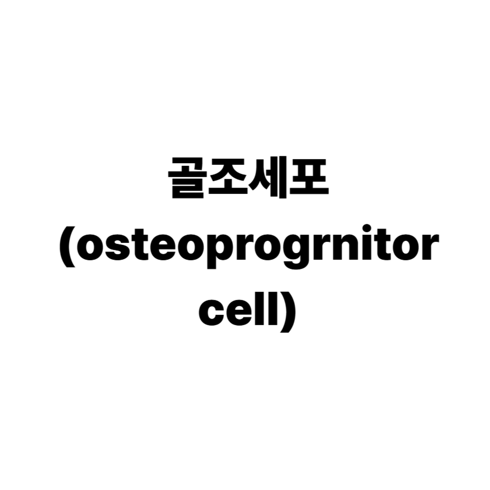 골조세포