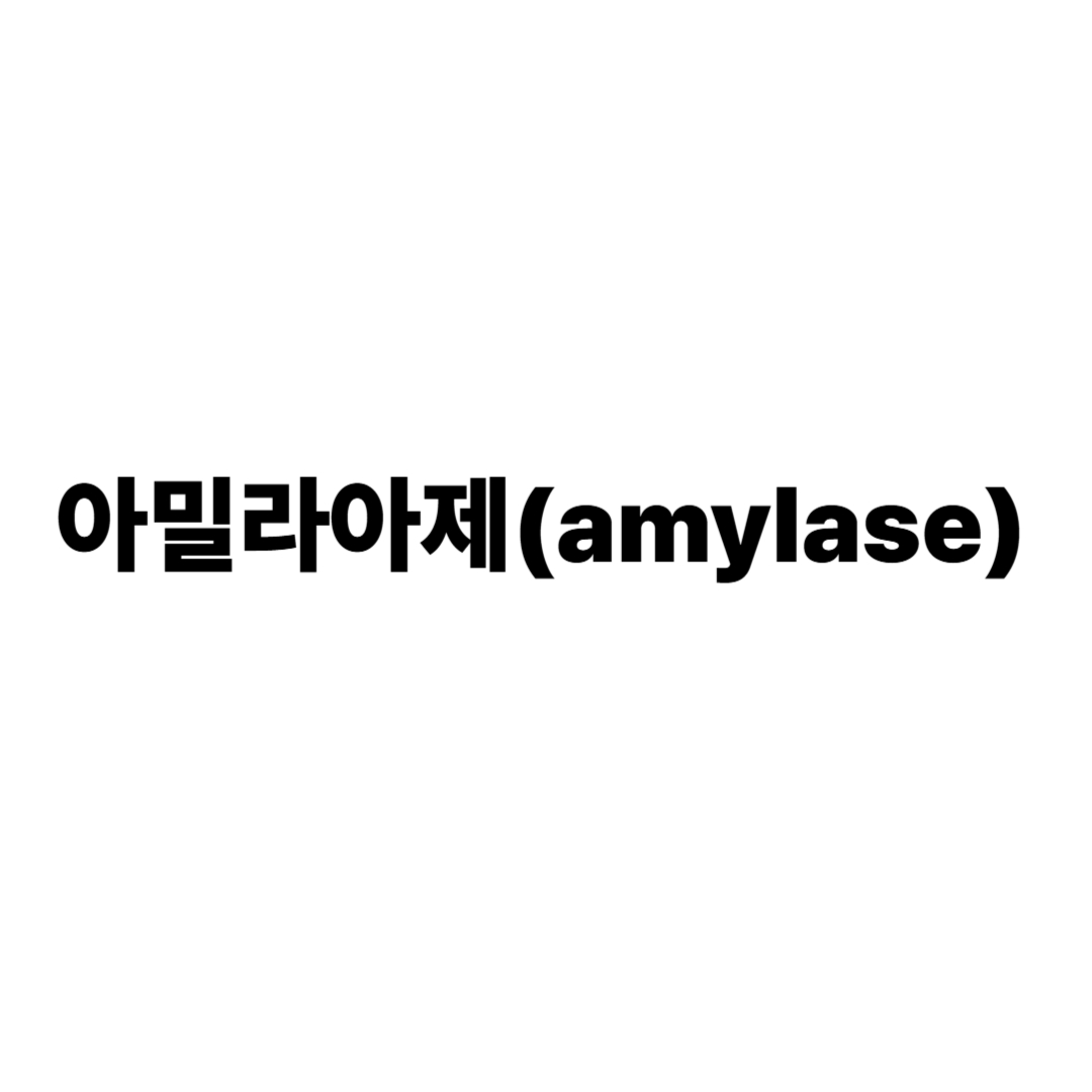 아밀라아제