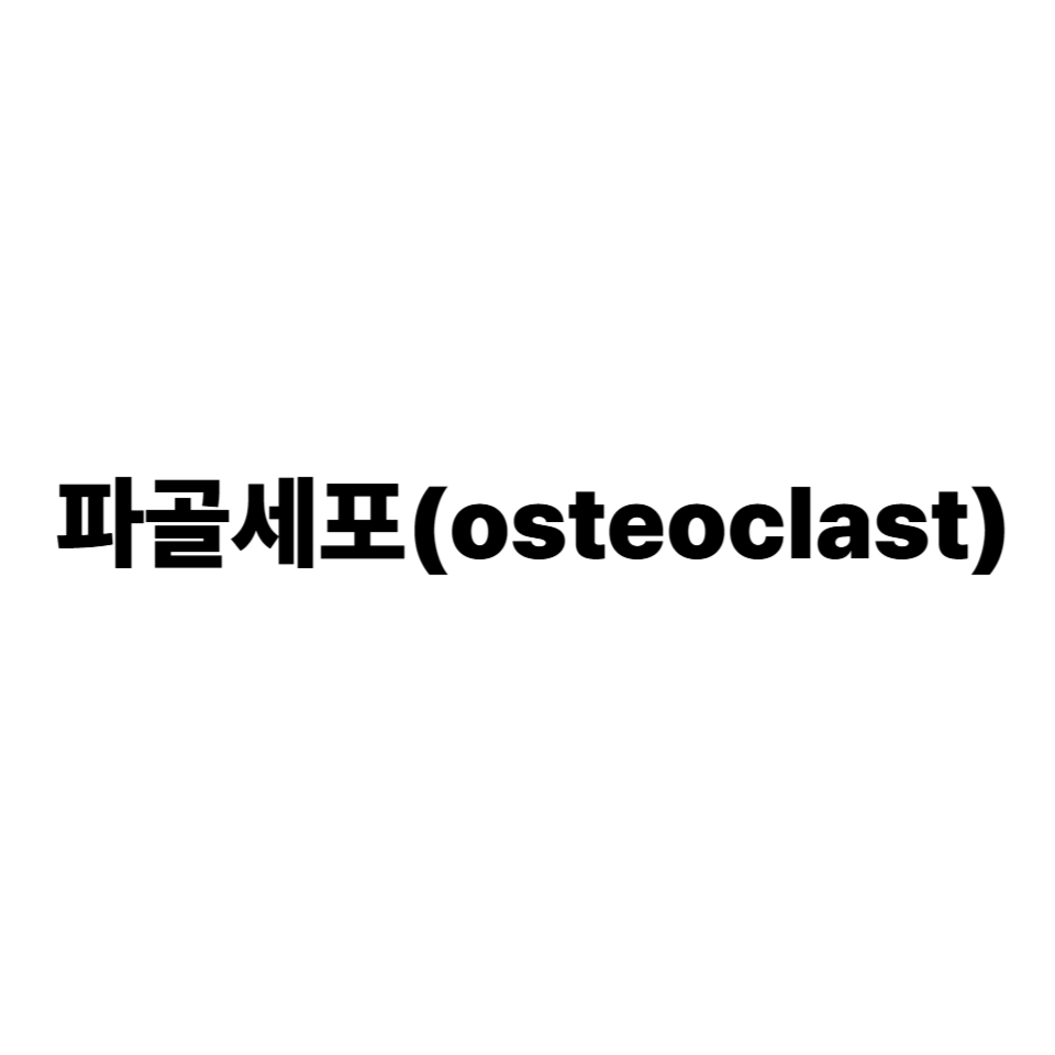 파골세포