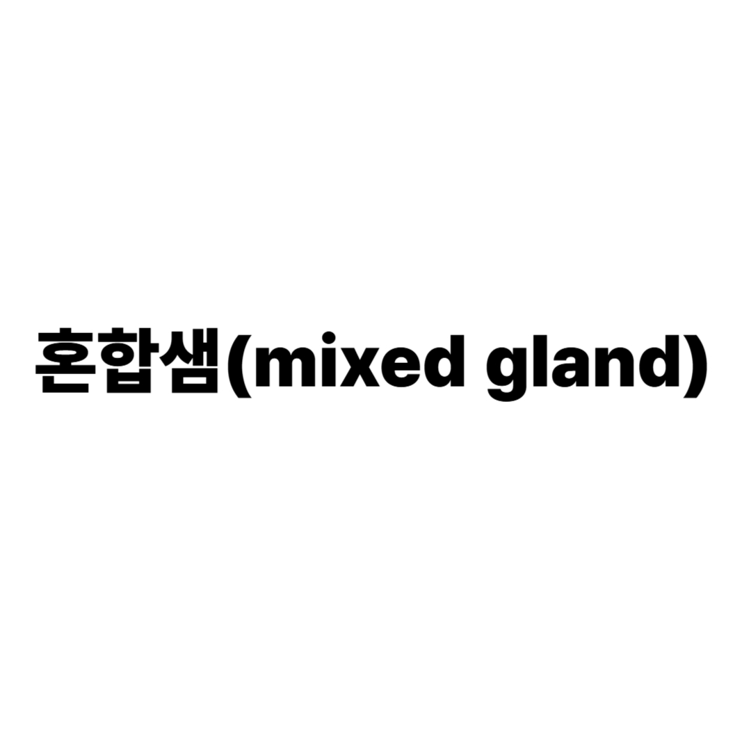 혼합샘