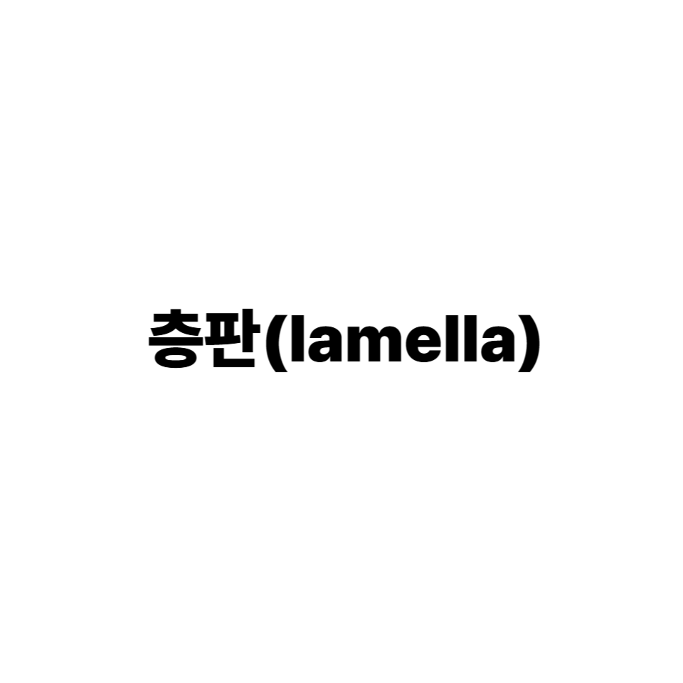 층판