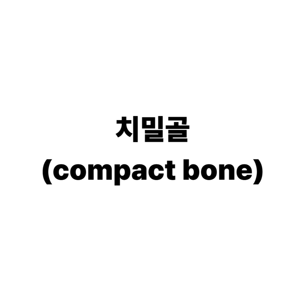치밀골