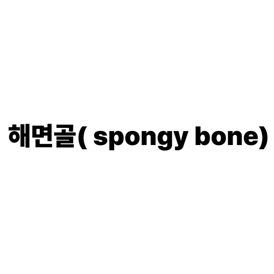 해면골