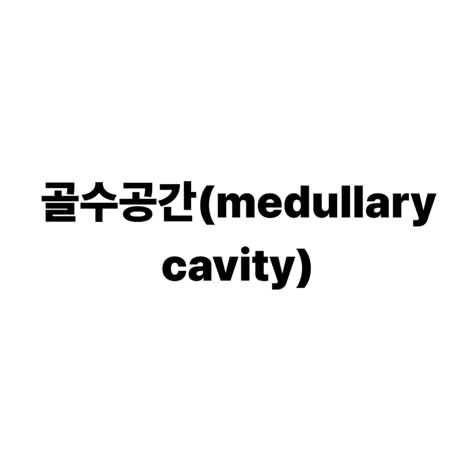골수공간