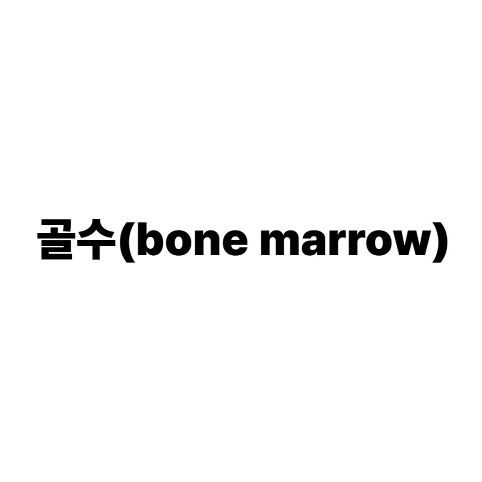 골수