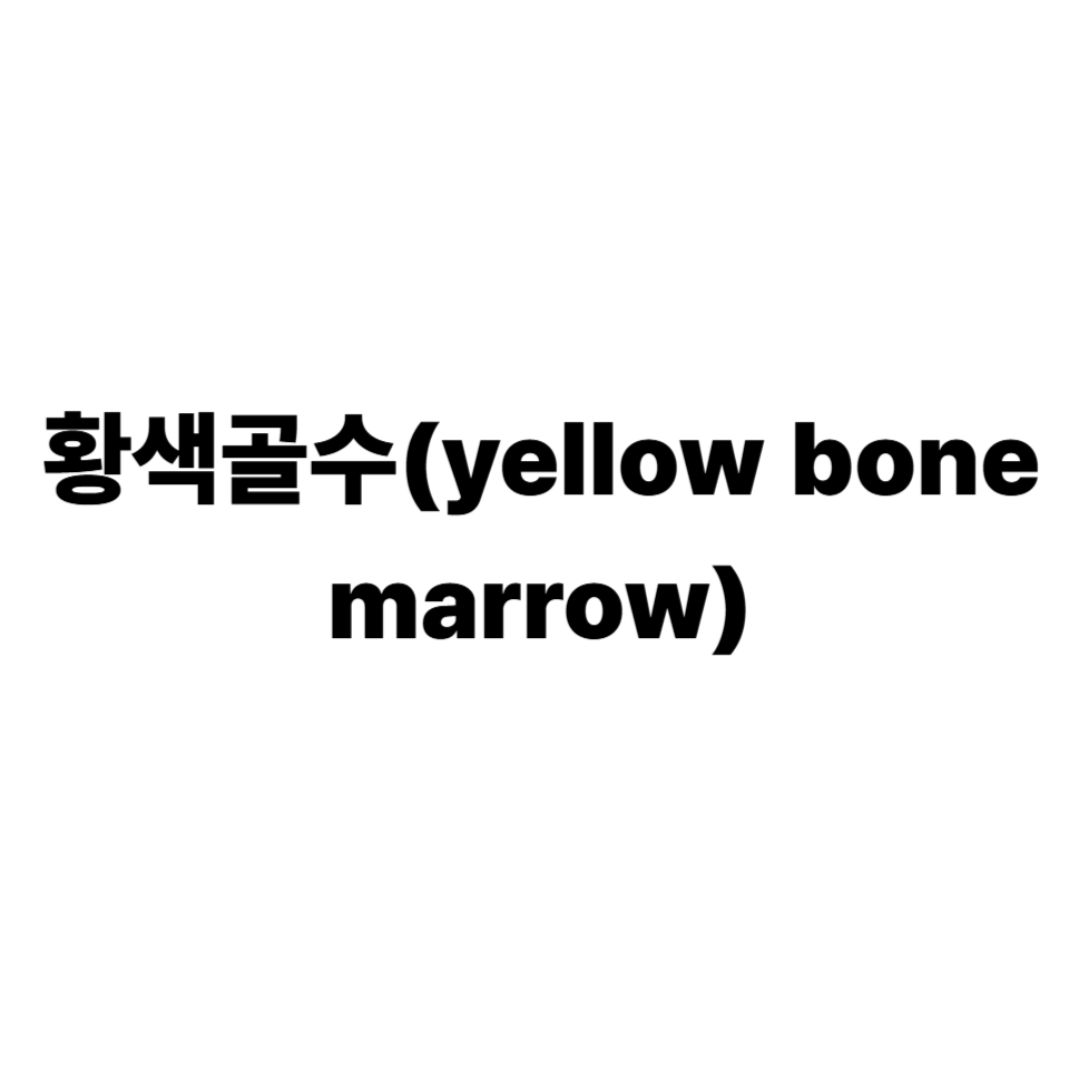 황색골수