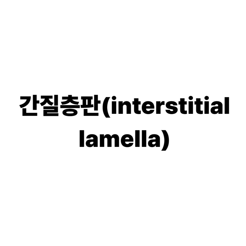 간질층판