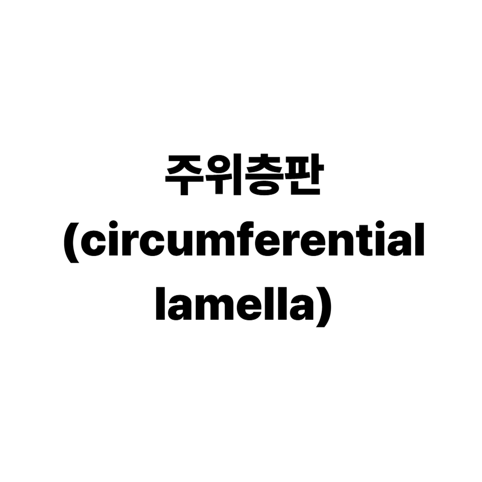 주위층판