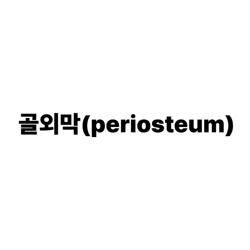 골외막
