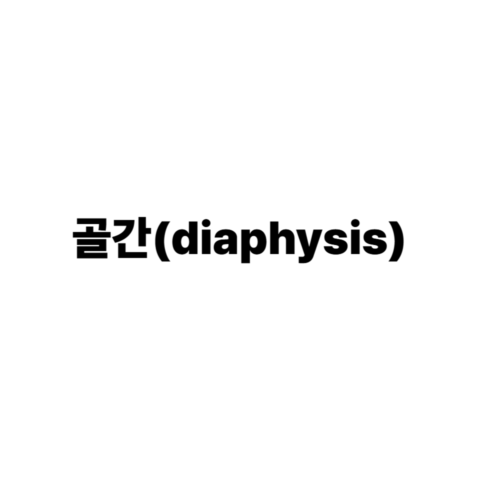 골간