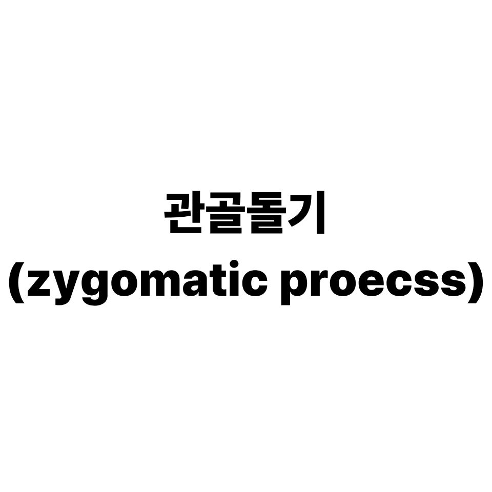관골돌기