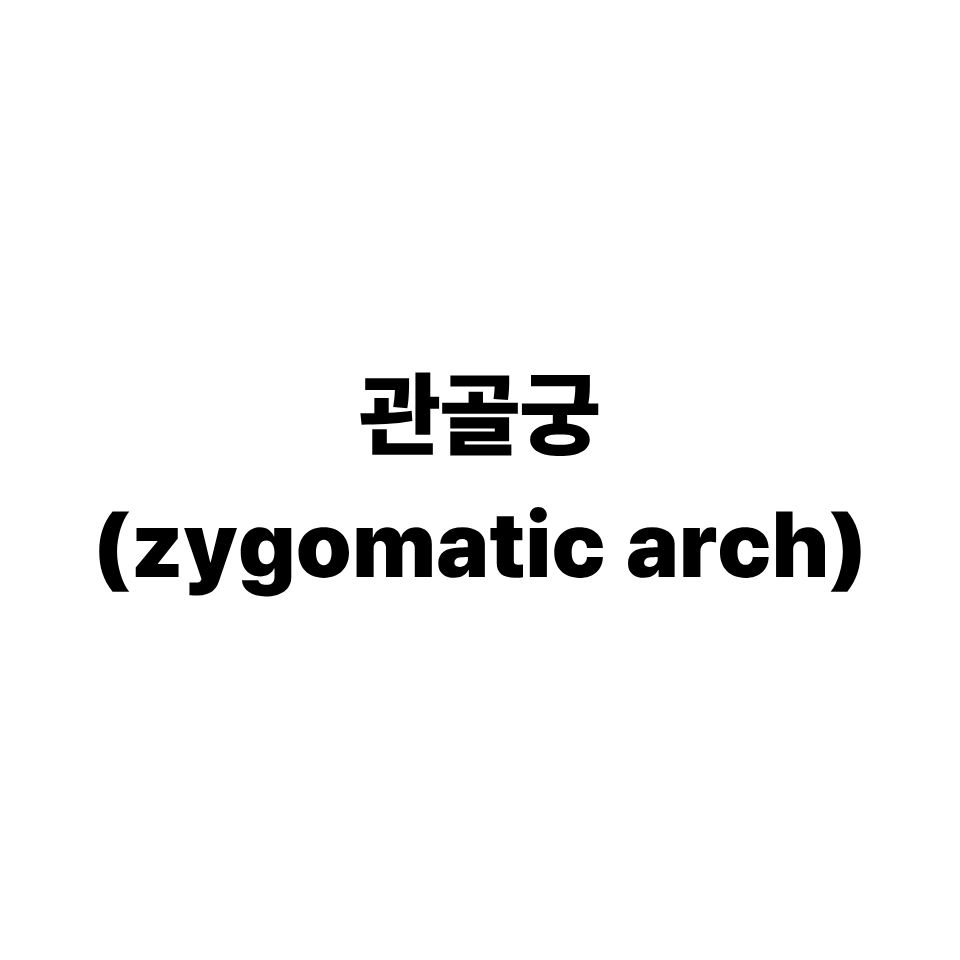 관골궁